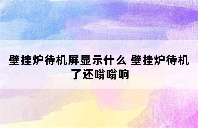 壁挂炉待机屏显示什么 壁挂炉待机了还嗡嗡响